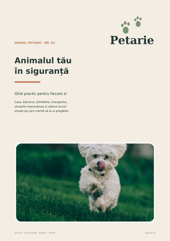 Ghidul Petarie nr. 01 — Animalul tău în siguranță