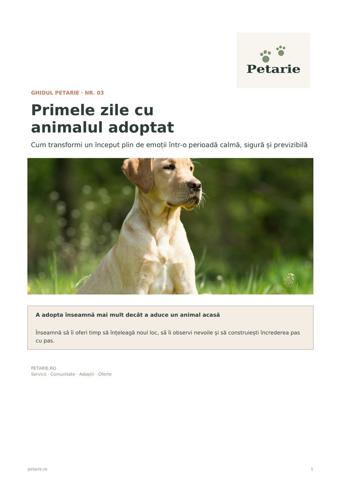 Ghidul Petarie nr. 03 — Primele zile cu animalul adoptat