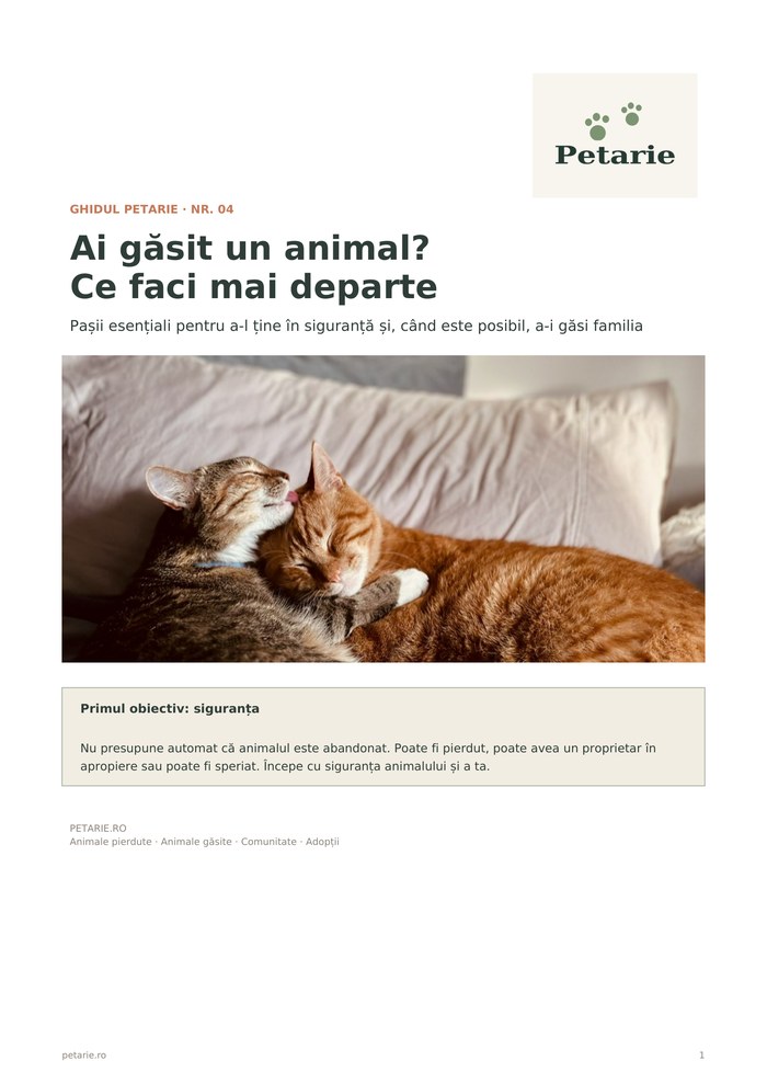 Ghidul Petarie nr. 04 — Ai găsit un animal? Ce faci mai departe